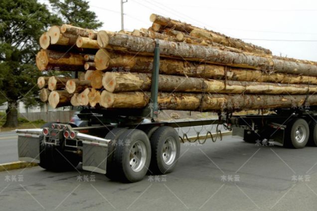 未来一年，木材供应挑战将持续存在_1