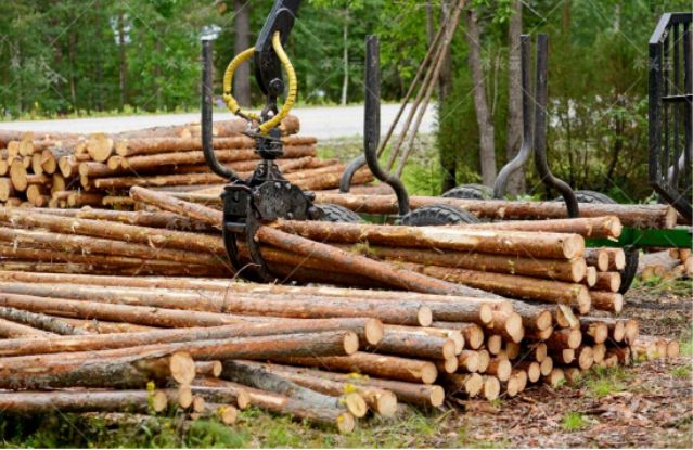 未来一年，木材供应挑战将持续存在_2